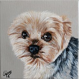 peinture acrylique Yorkshire terrier