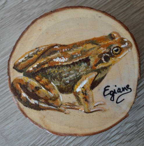 grenouille, peinture acrylique sur rondin environ 10cm